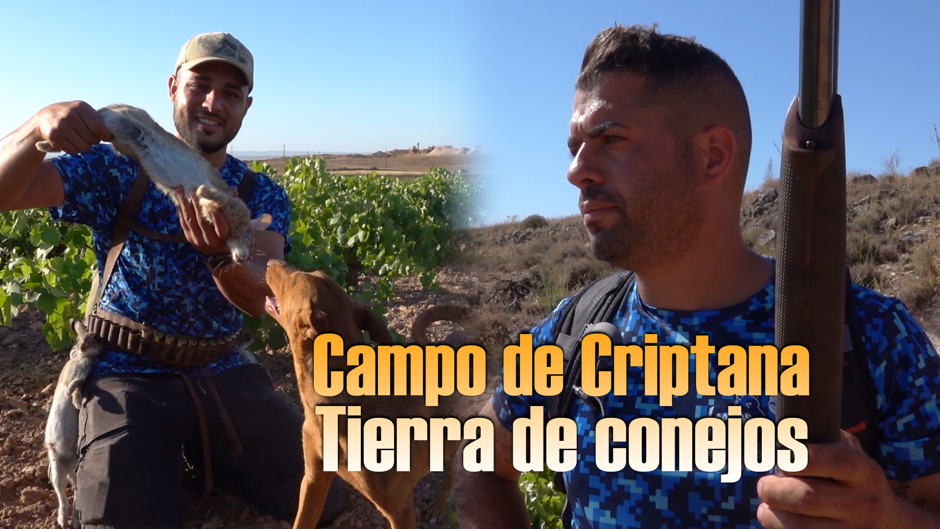 Campo de Criptana tierra de conejos