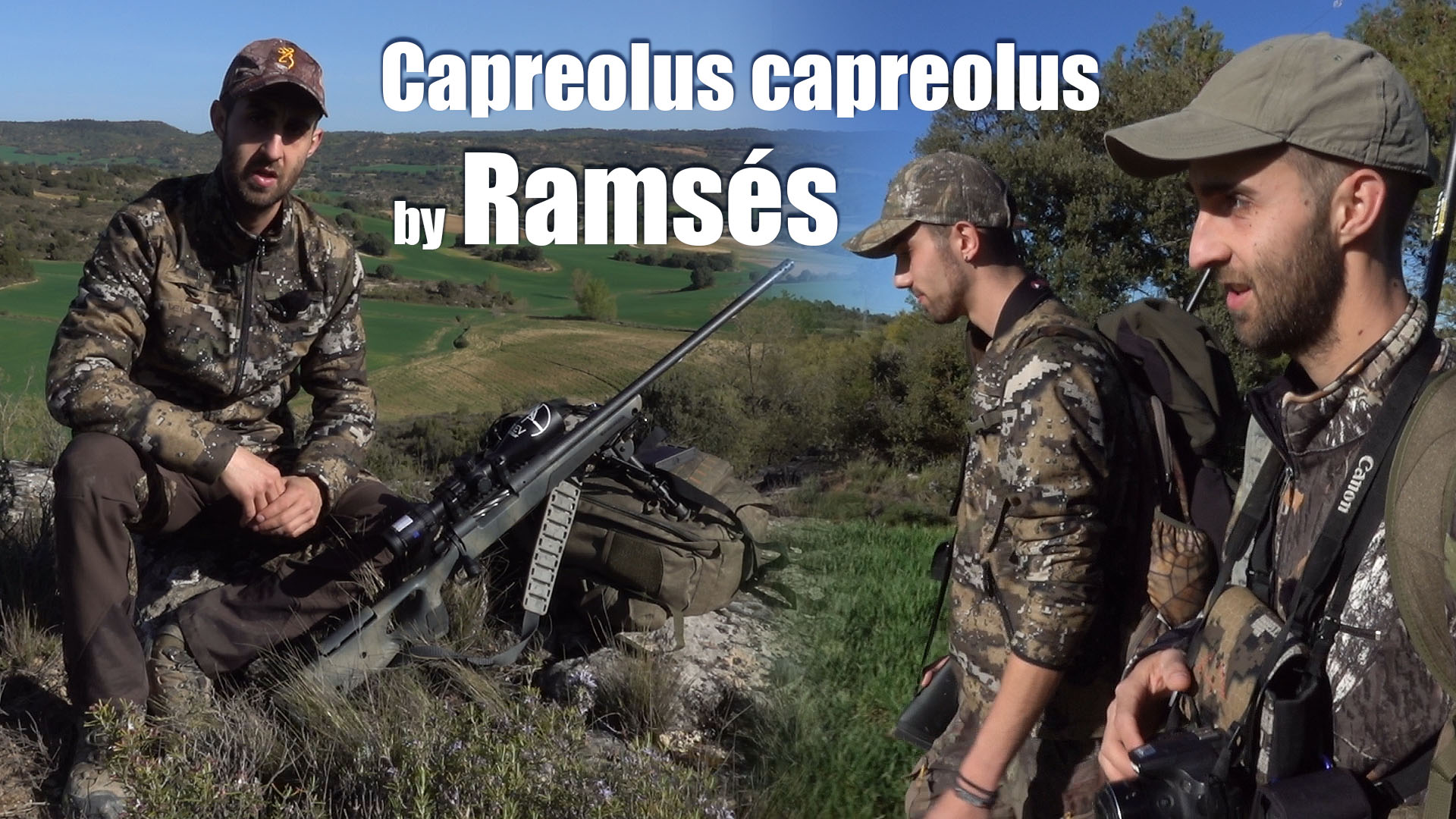 capreolus capreolus by Ramses youtube